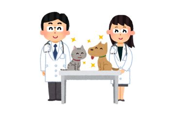 Veterinarians SEO